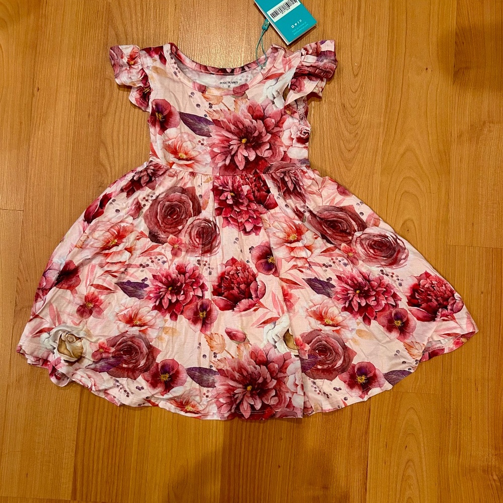 Nwt Posh Peanut dress size 2